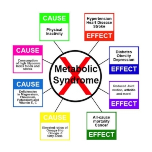 wise-way-nutrition-lake-tahoe-metabolic-syndrome