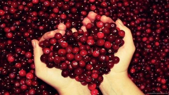 Hands cradling fresh cranberries in a heart shape