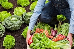 S.O.U.L. Foods — Seasonal, Organic, Unprocessed, Local whole foods