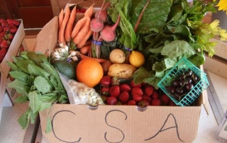 Wise-way-nutrition-south-lake-tahoe-CSA